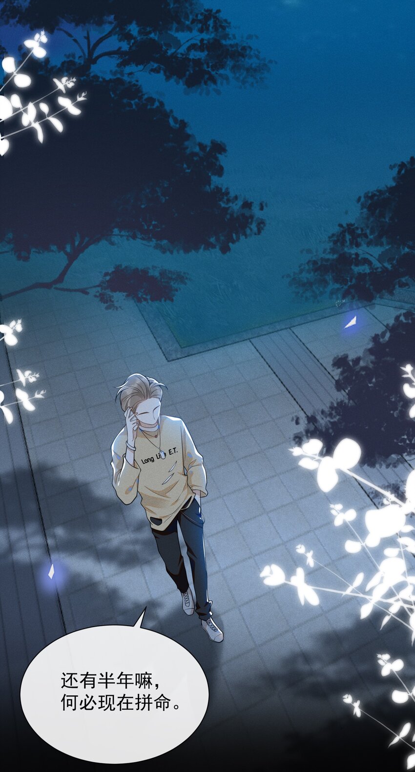007 白月光16