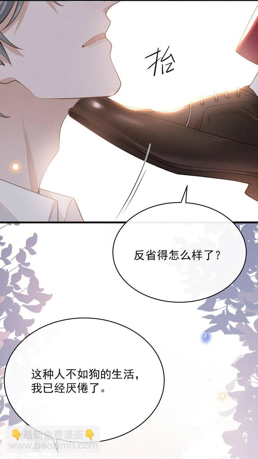 124 夏总，别来无恙！17