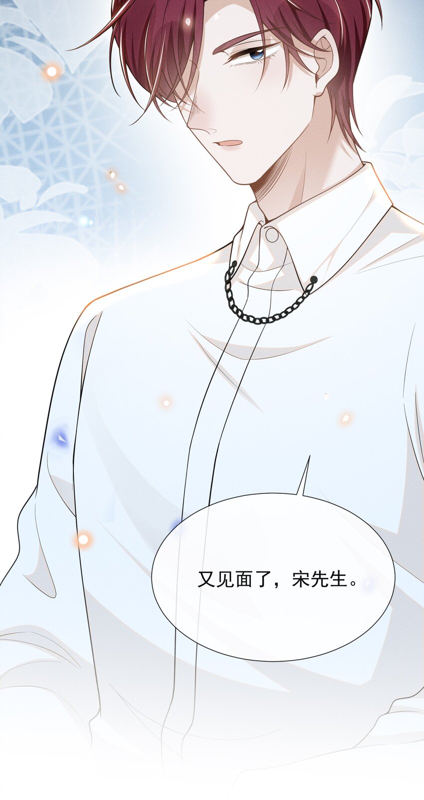 069 见一面吧，宋先生！47