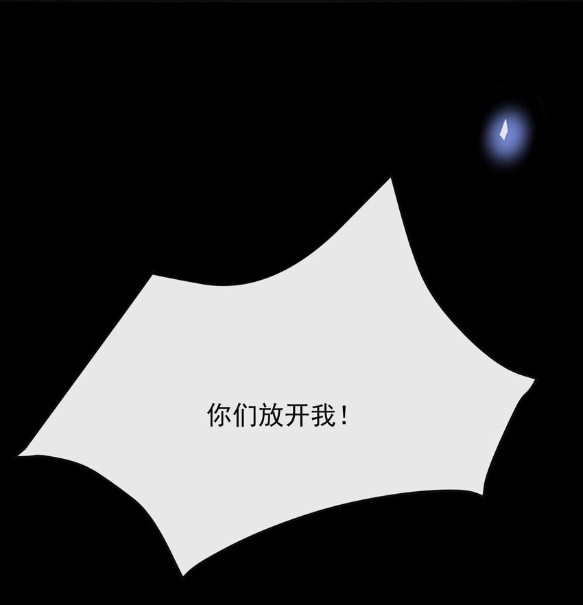 042 我要见夏临！37