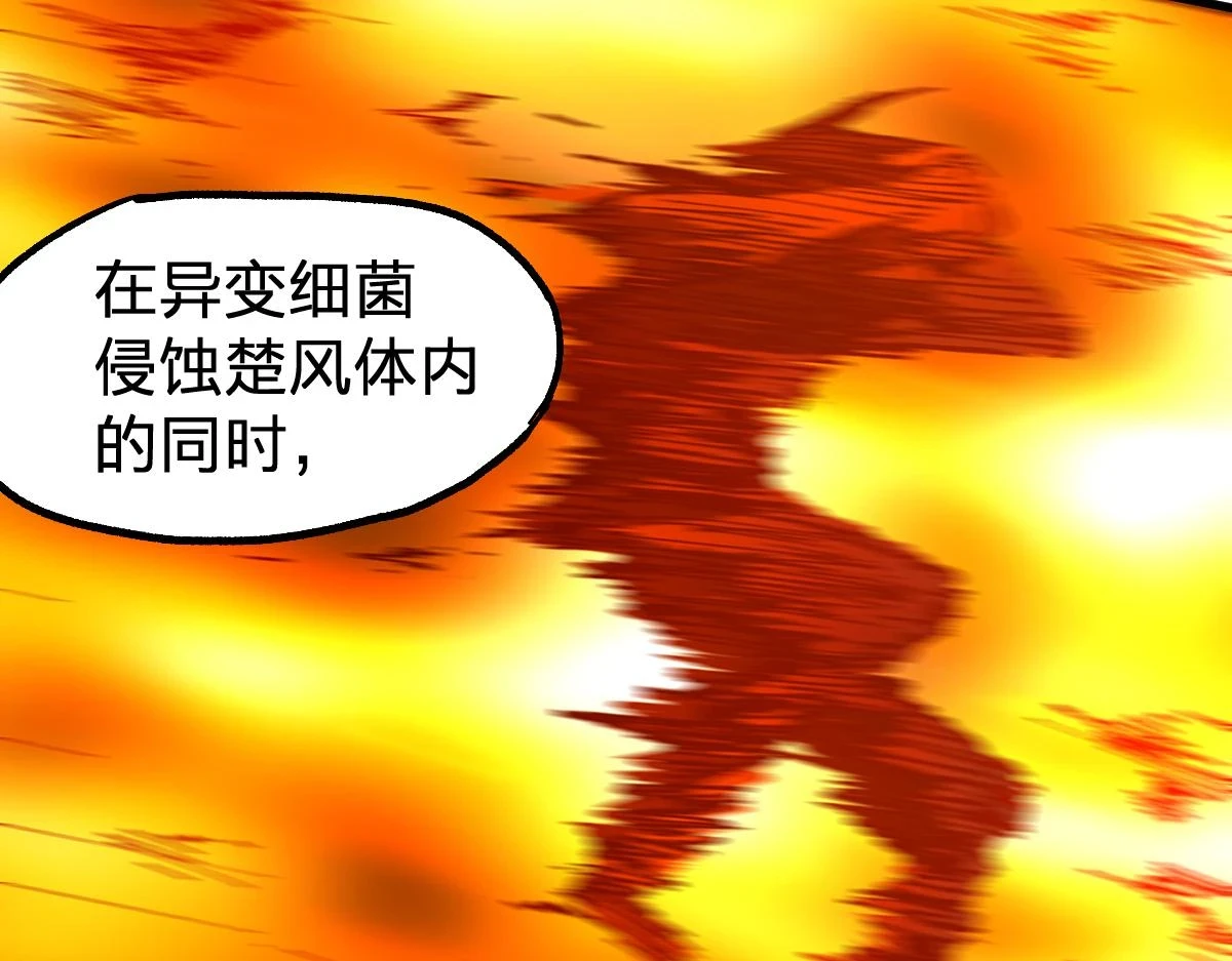 第206话 圈套？！137