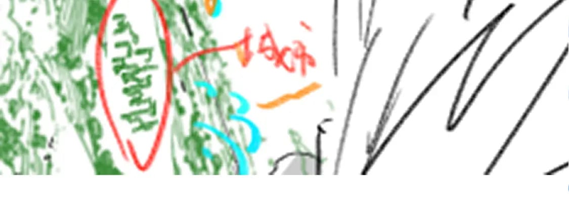 第217话 反击！148
