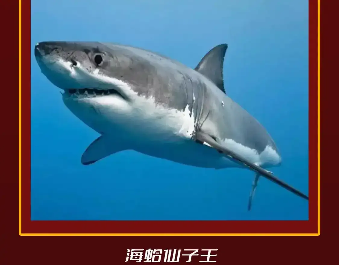 第23期 整活企划：圣墟中兽王，原型长这样？4