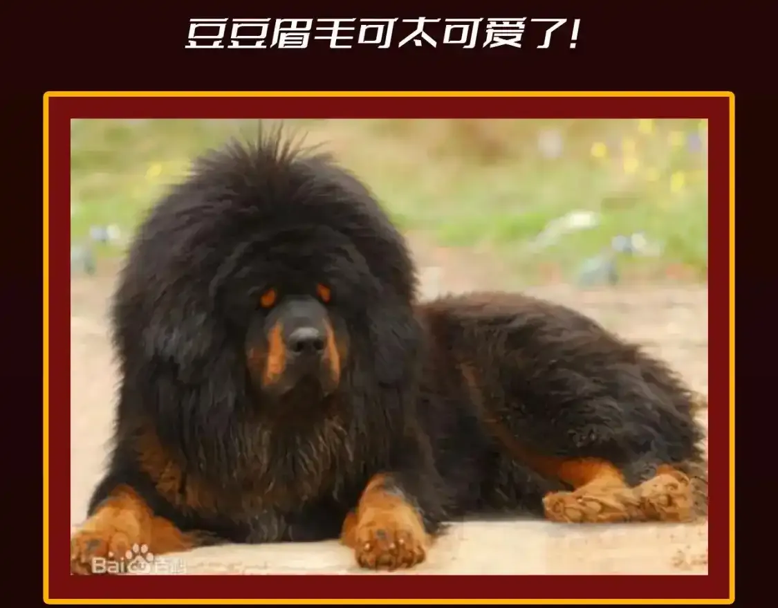 第23期 整活企划：圣墟中兽王，原型长这样？9