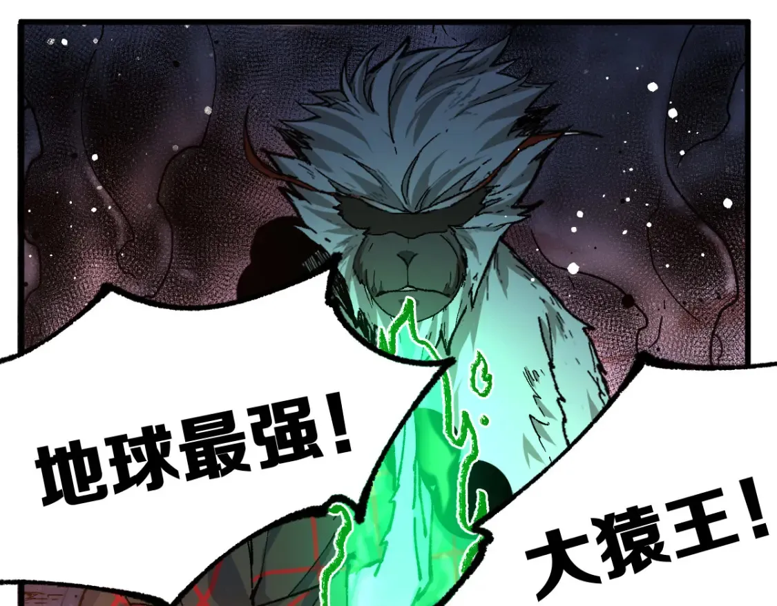 第257话 猿王出击？23