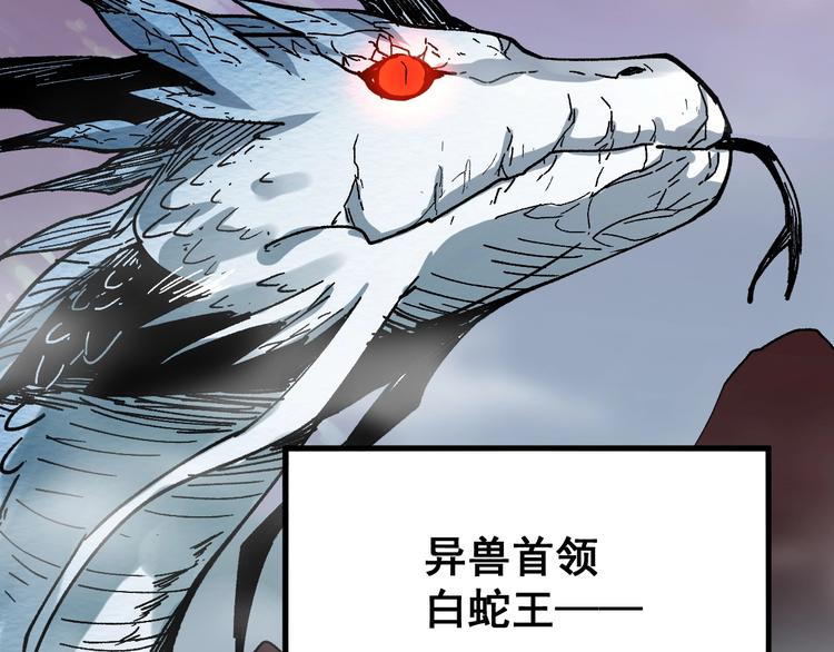 第41话 联手67