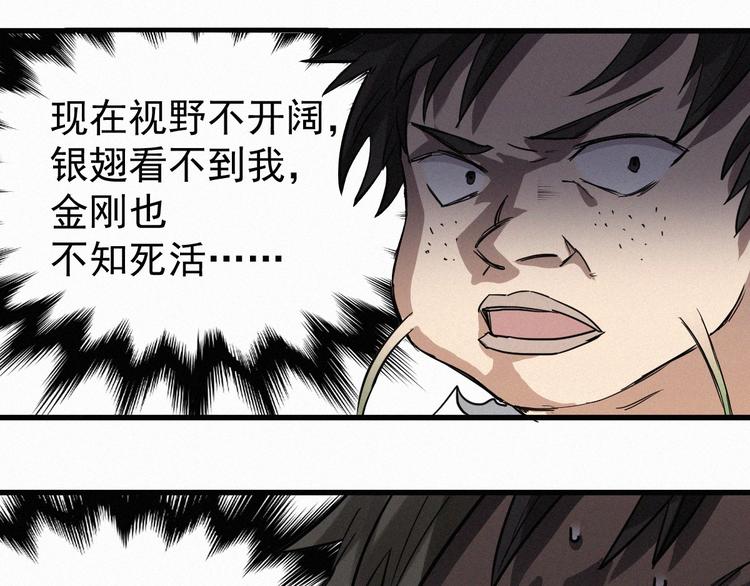 第34话 银翅天神VS金刚54