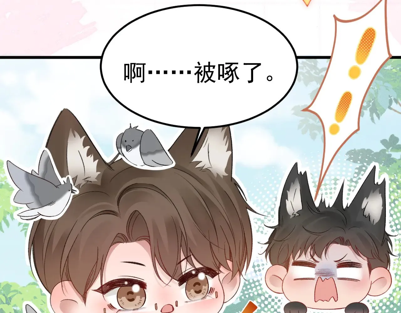 番外 兽耳时间7