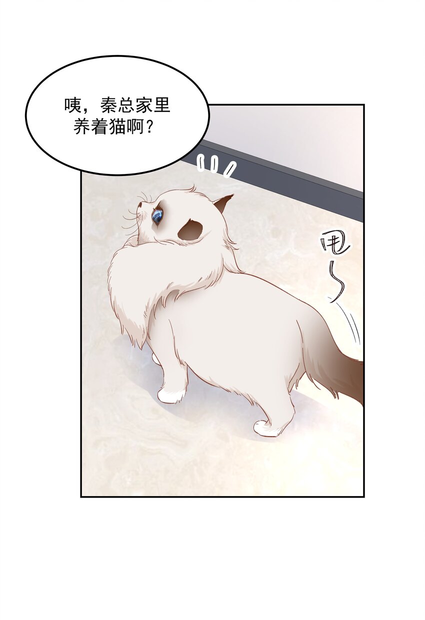 五十一话 合格的好哥哥24