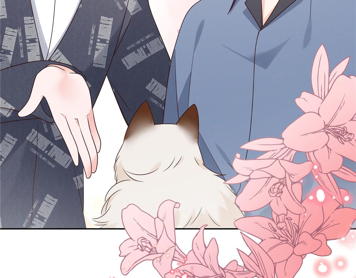 296 睡服秦漠还是得靠……92