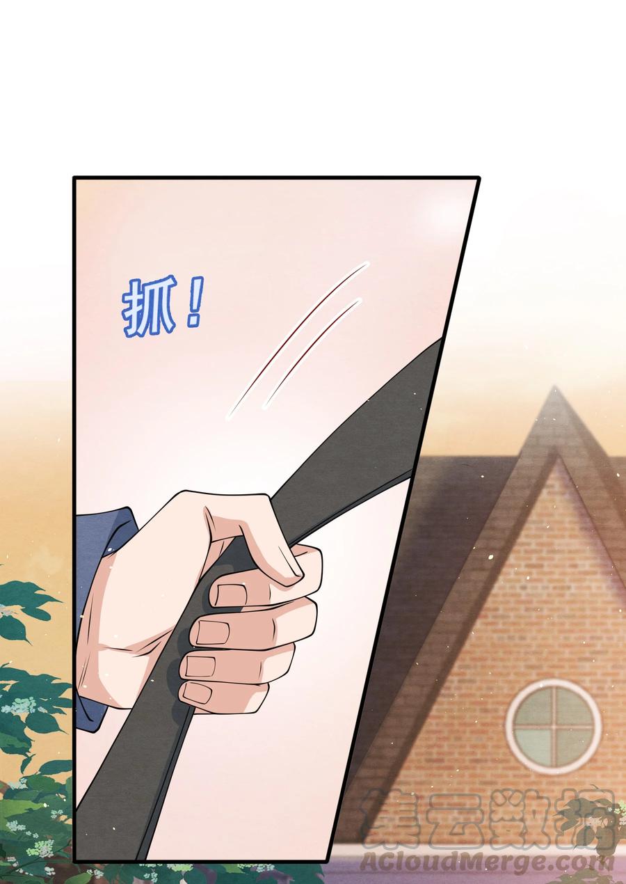 017 我要被鲨鱼吃掉了12
