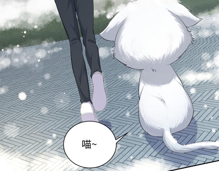 第8话 大雪中的小猫咪62