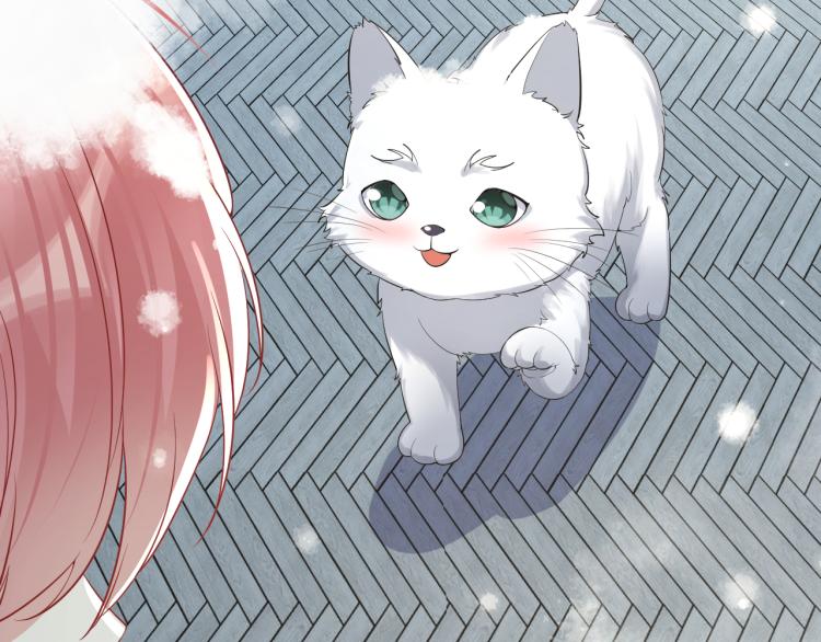 第8话 大雪中的小猫咪57