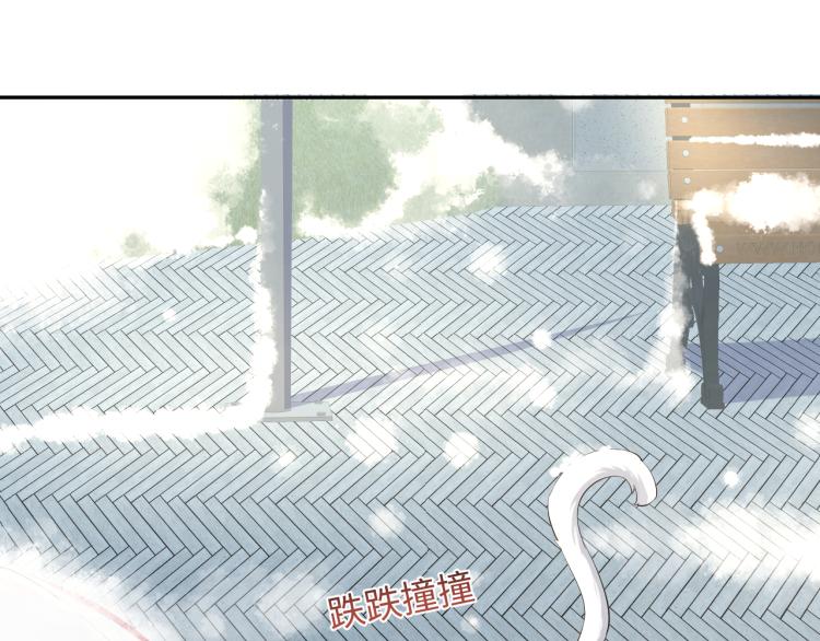 第8话 大雪中的小猫咪56