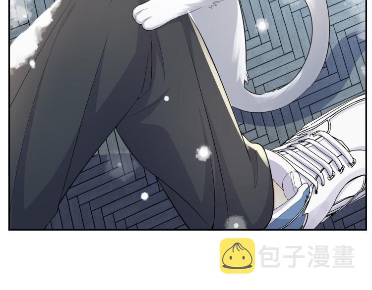 第8话 大雪中的小猫咪45
