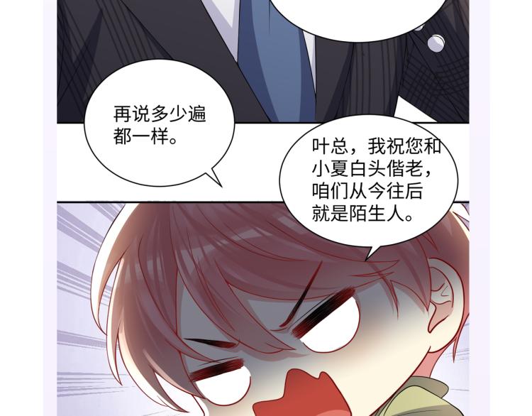 第8话 大雪中的小猫咪94
