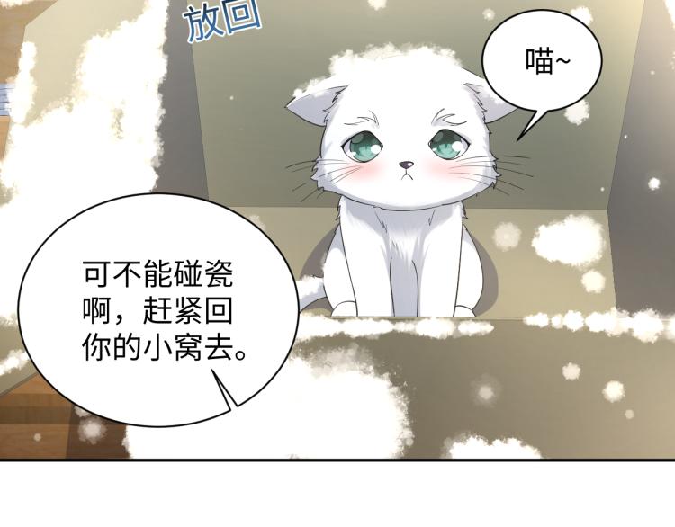 第8话 大雪中的小猫咪51
