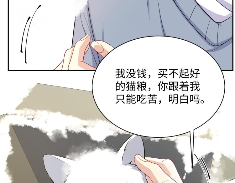 第8话 大雪中的小猫咪84