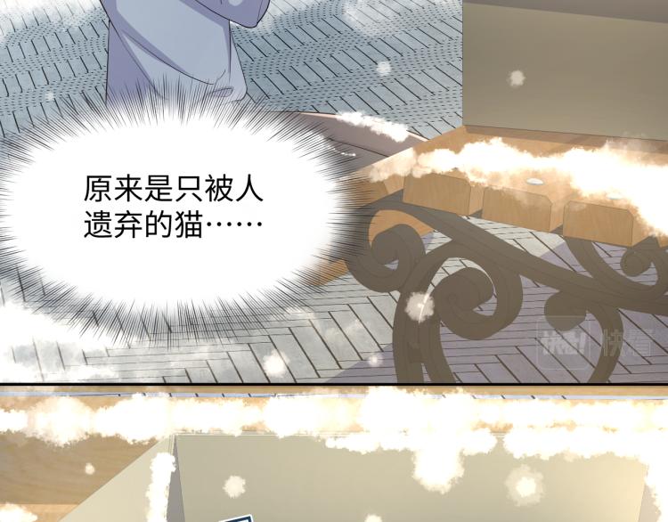 第8话 大雪中的小猫咪50
