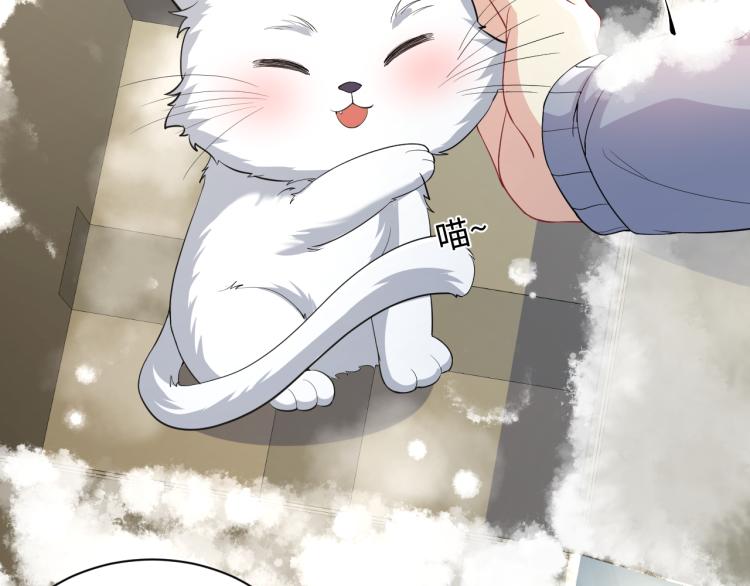 第8话 大雪中的小猫咪85