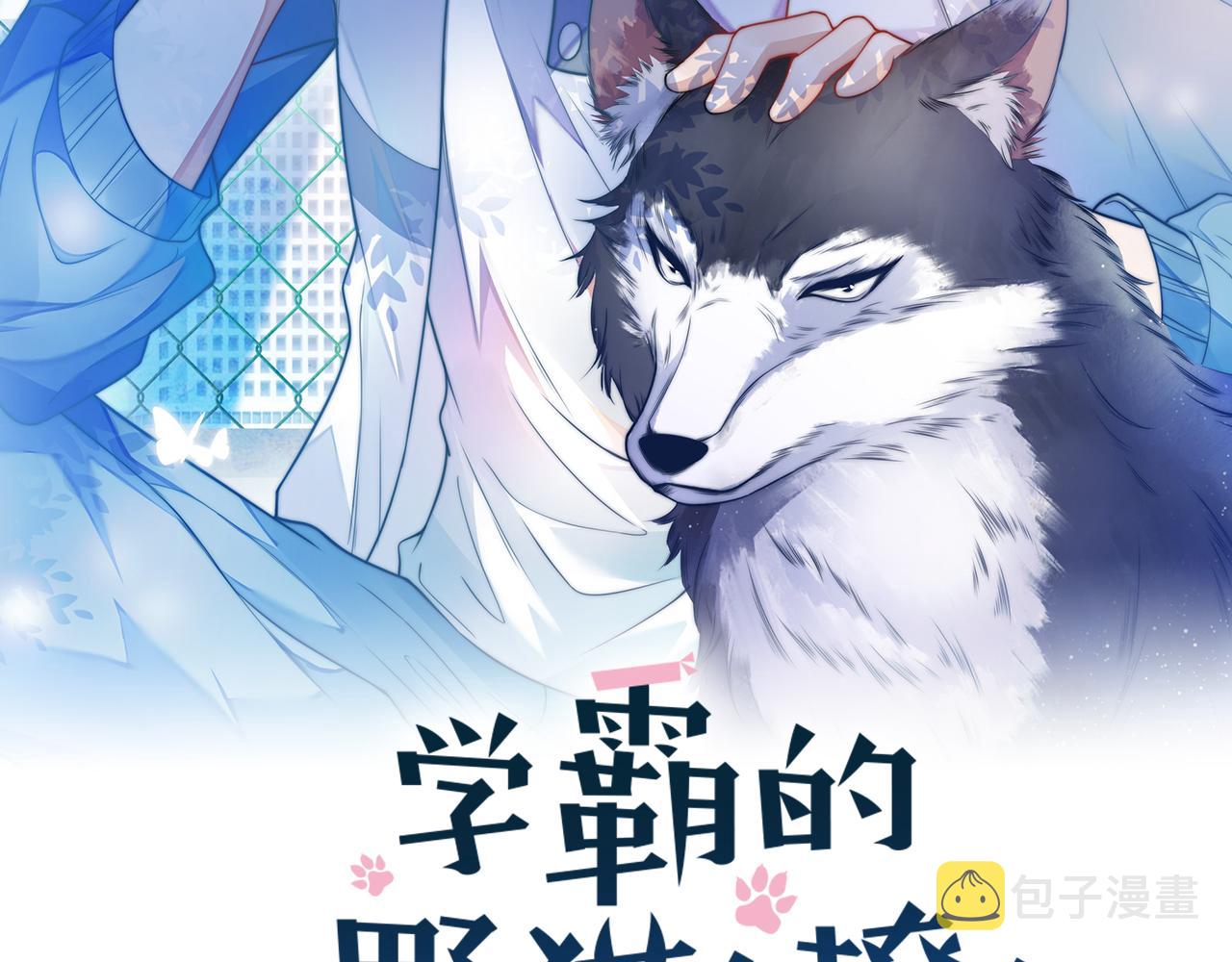 第40话 坏猫，不知好歹！1