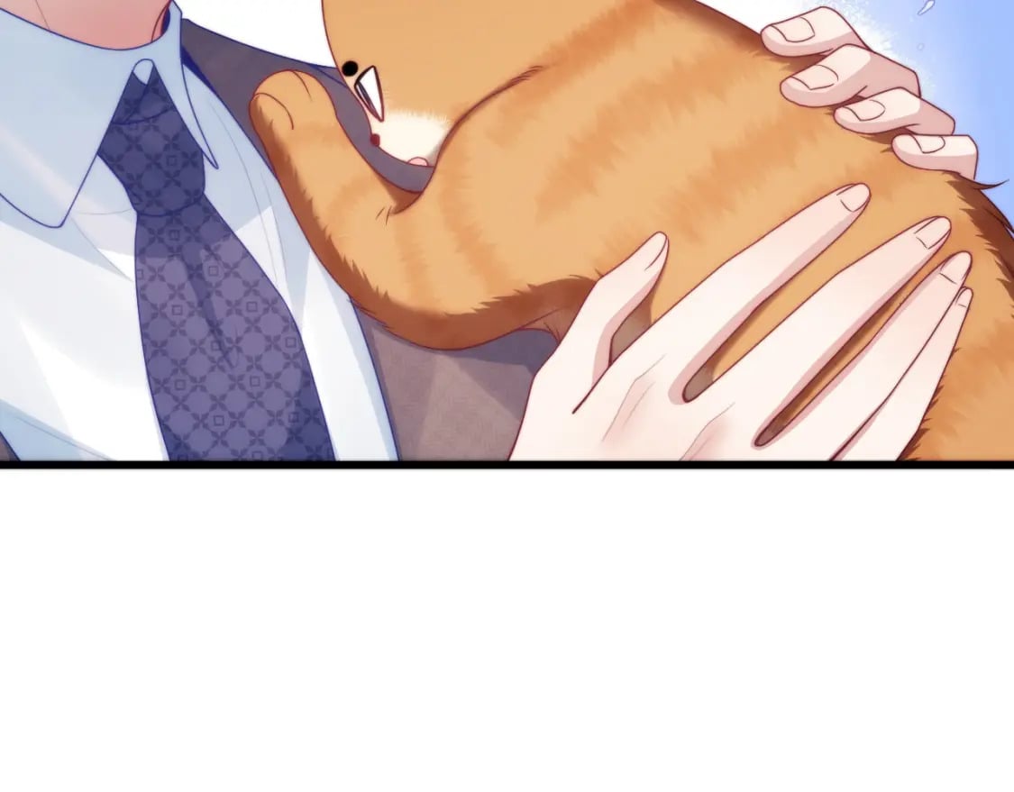 第80话 猫的爱很简单73