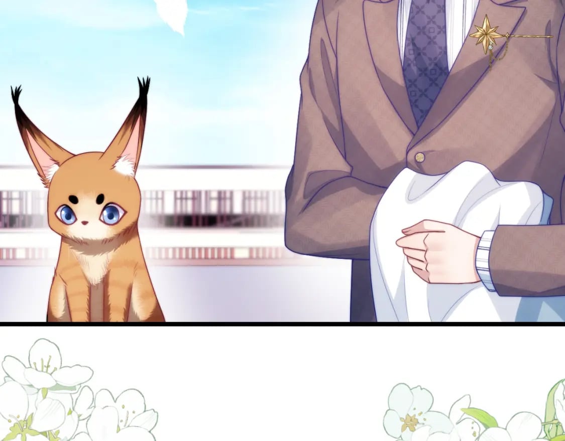 第80话 猫的爱很简单19