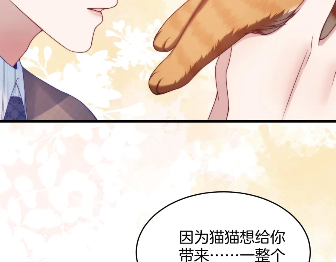 第80话 猫的爱很简单59