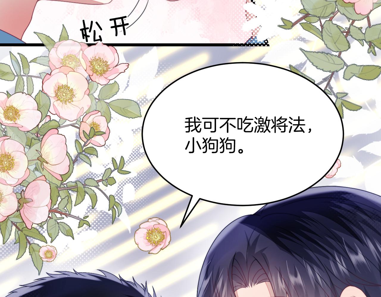 第31话 小狗狗~11