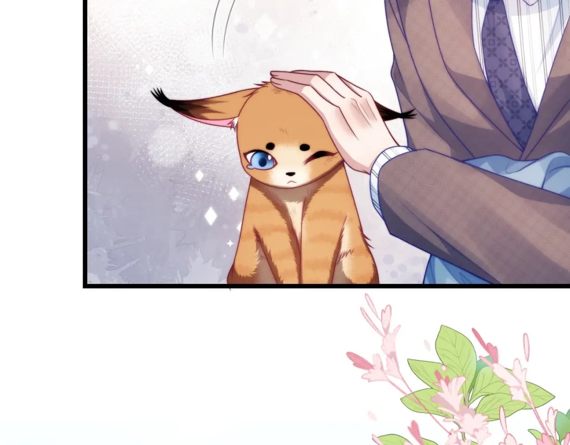 第80话 猫的爱很简单27
