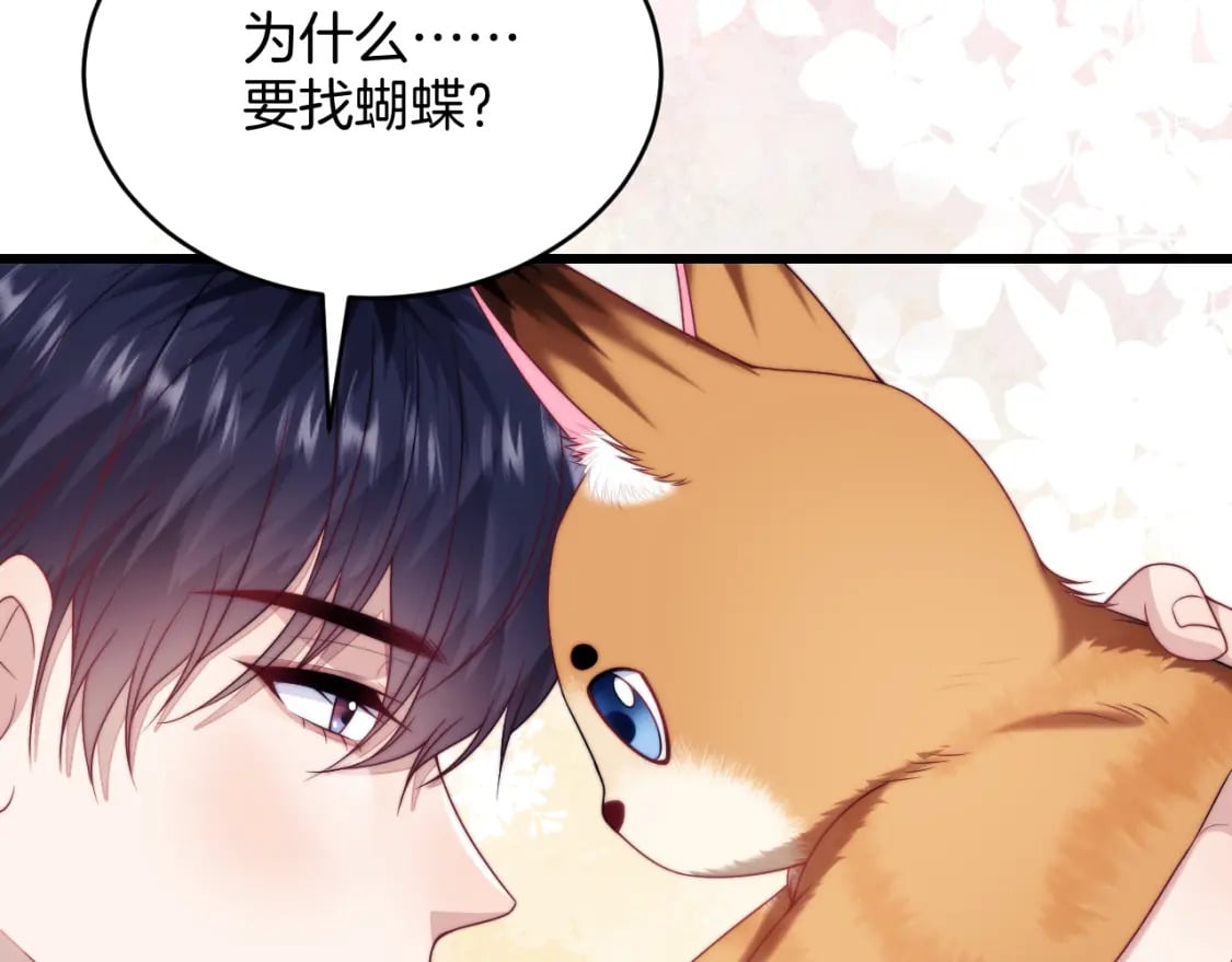 第80话 猫的爱很简单58