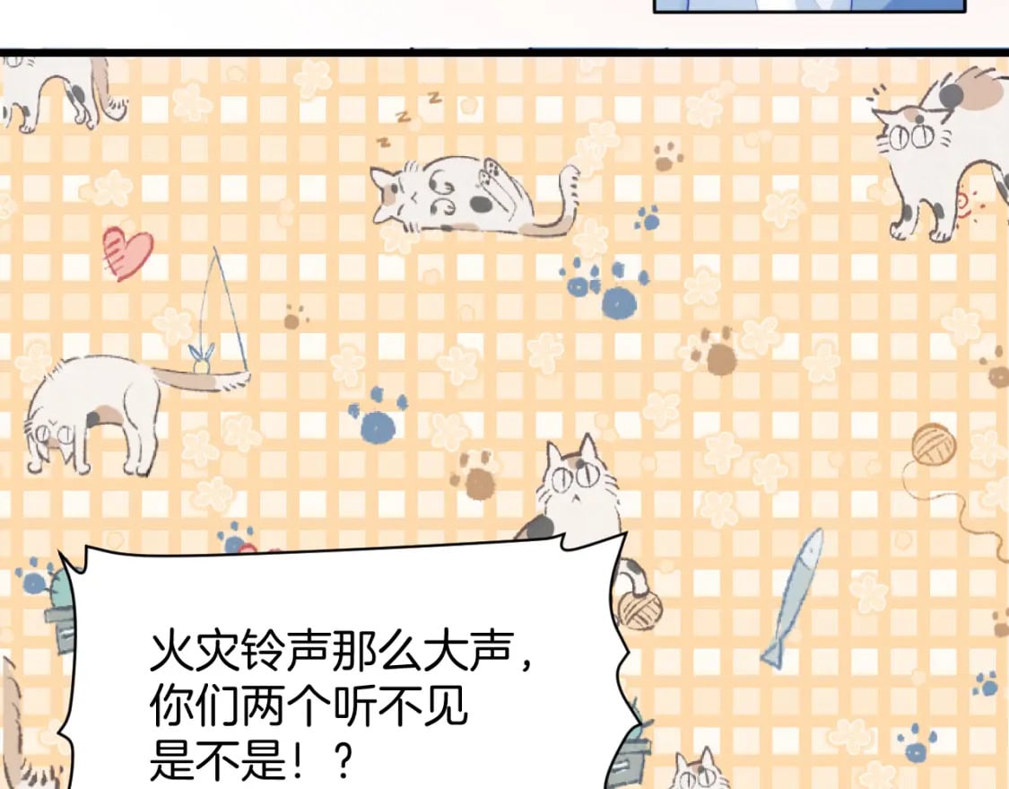 第81话 猫猫会吃醋的60
