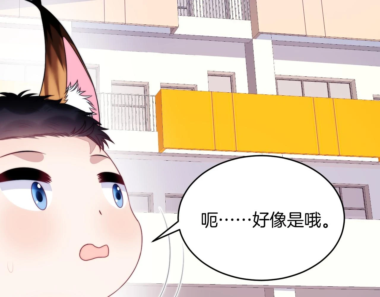 第71话 别离开我的视线13