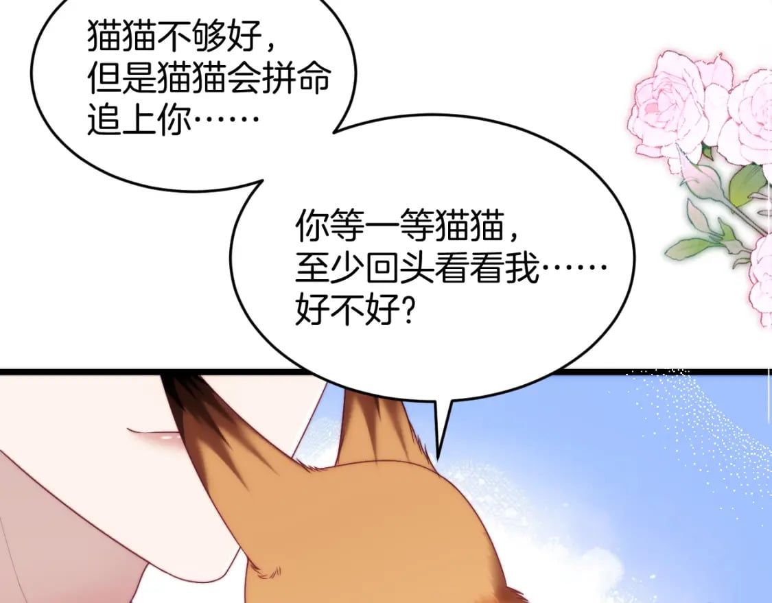 第80话 猫的爱很简单72