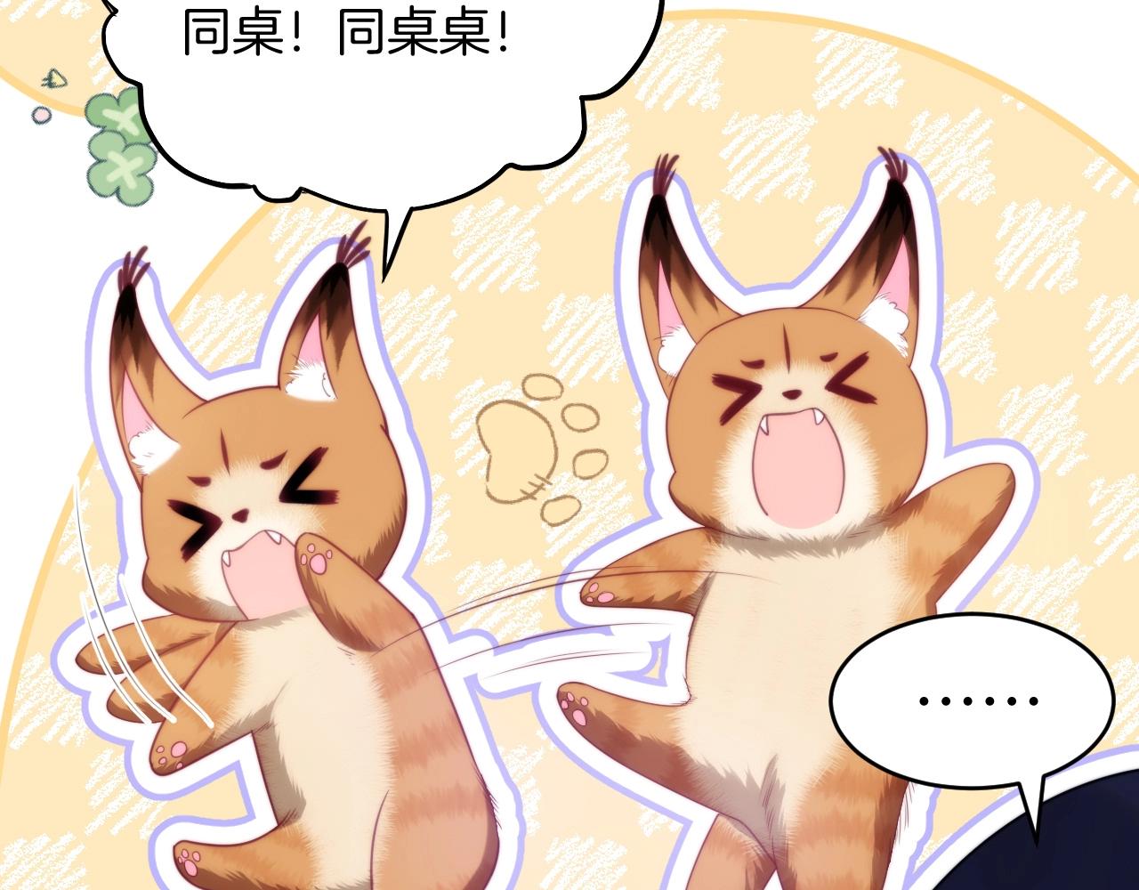 第12话 猫猫撒娇12
