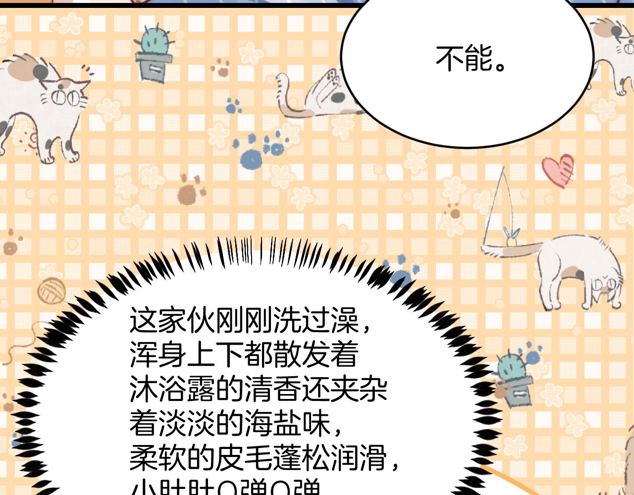 第16话 半夜吸猫56