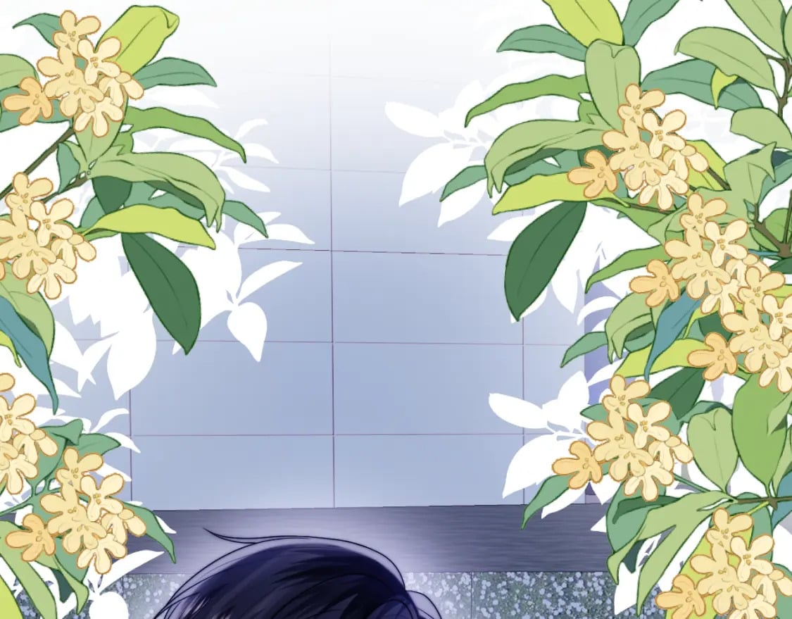 第80话 猫的爱很简单55