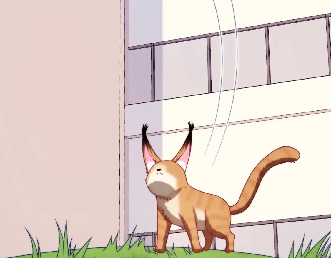 第80话 猫的爱很简单31