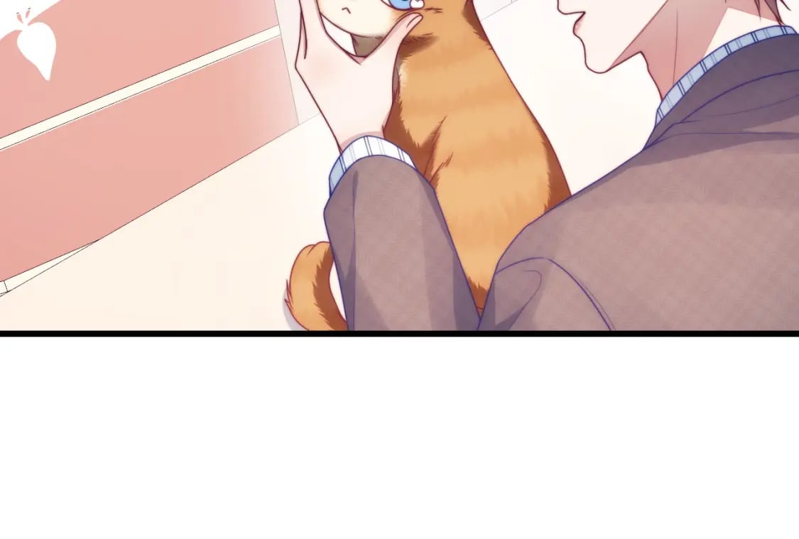 第80话 猫的爱很简单23