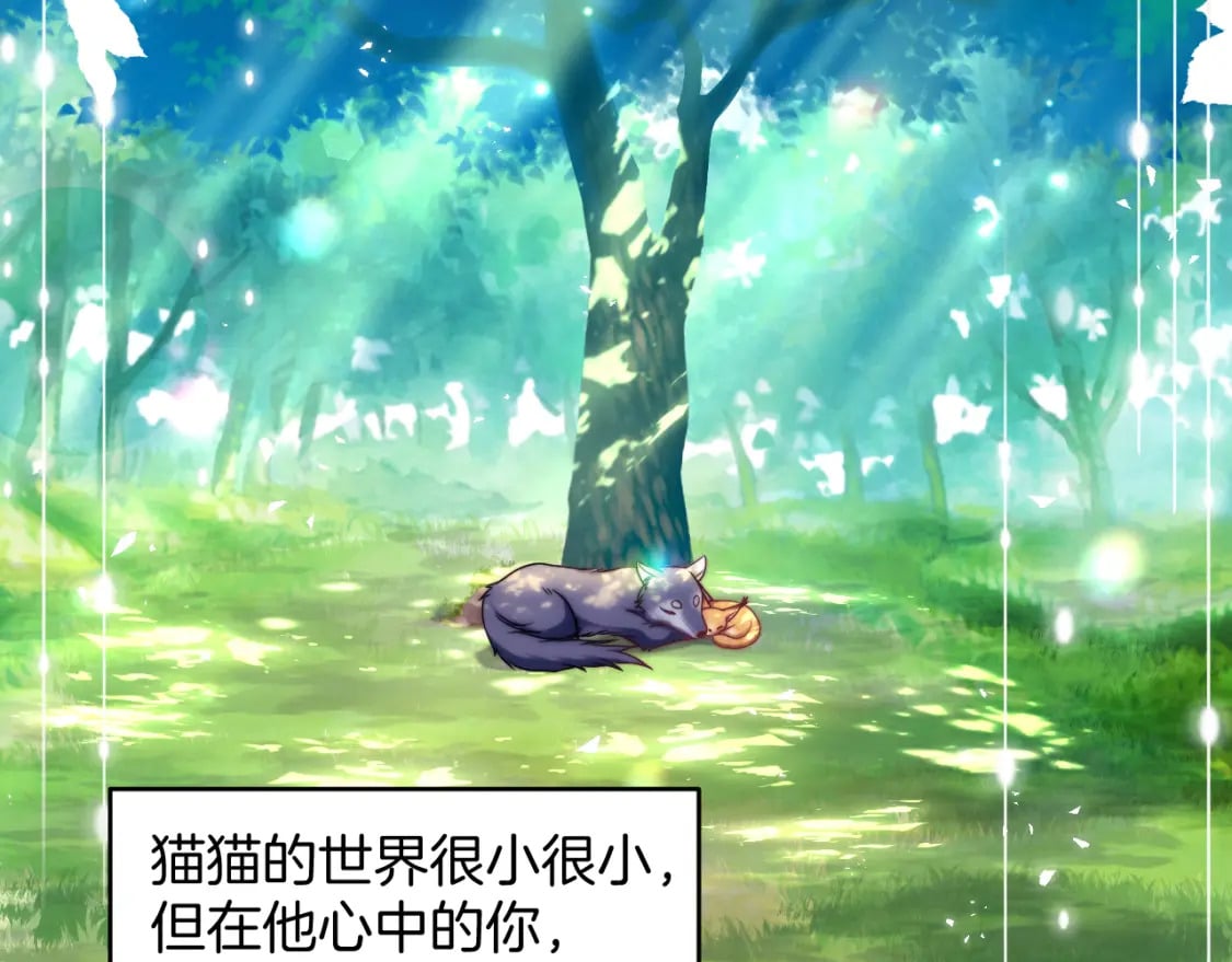 第80话 猫的爱很简单68