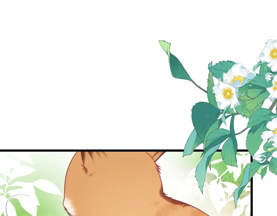 第80话 猫的爱很简单34