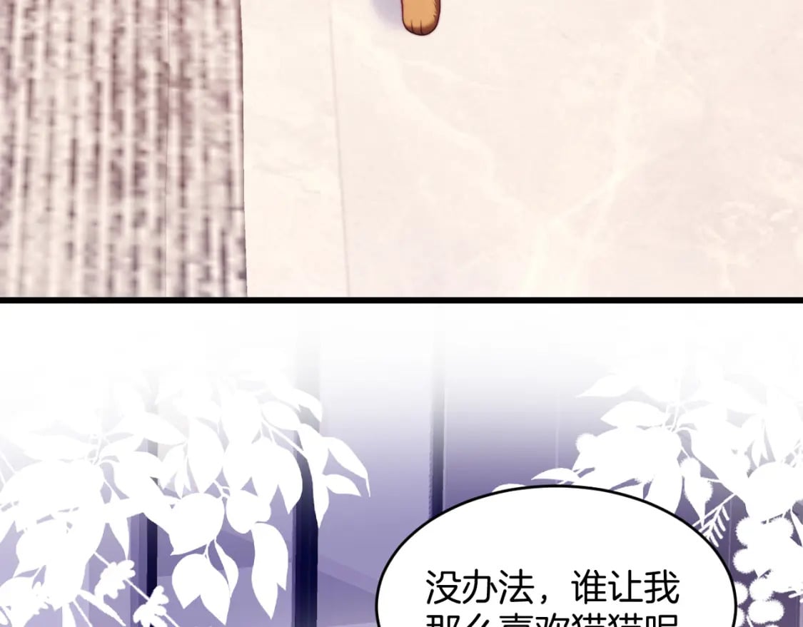 第77话 贴贴猫猫60