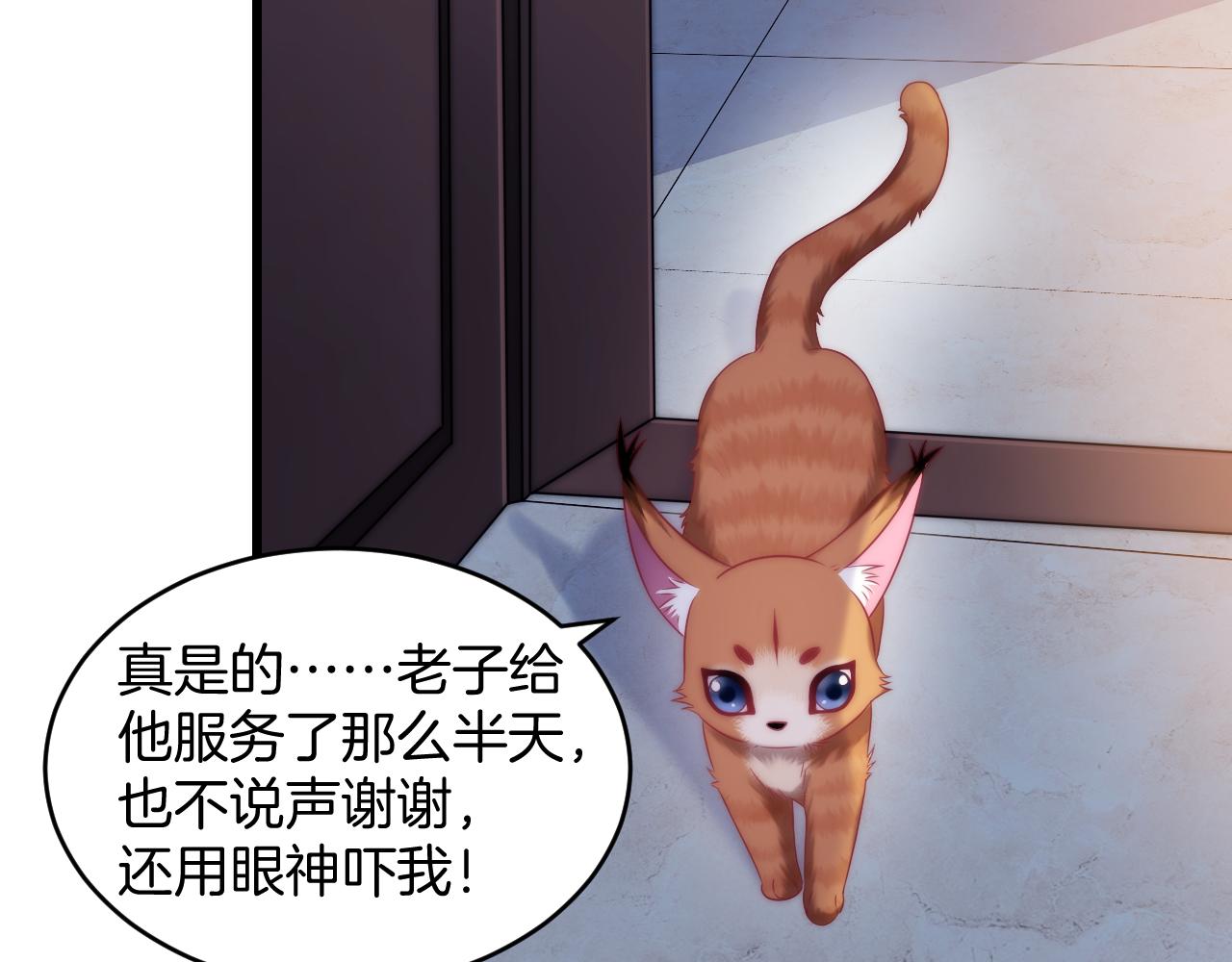 第16话 半夜吸猫35