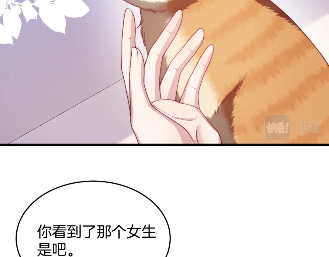 第80话 猫的爱很简单25