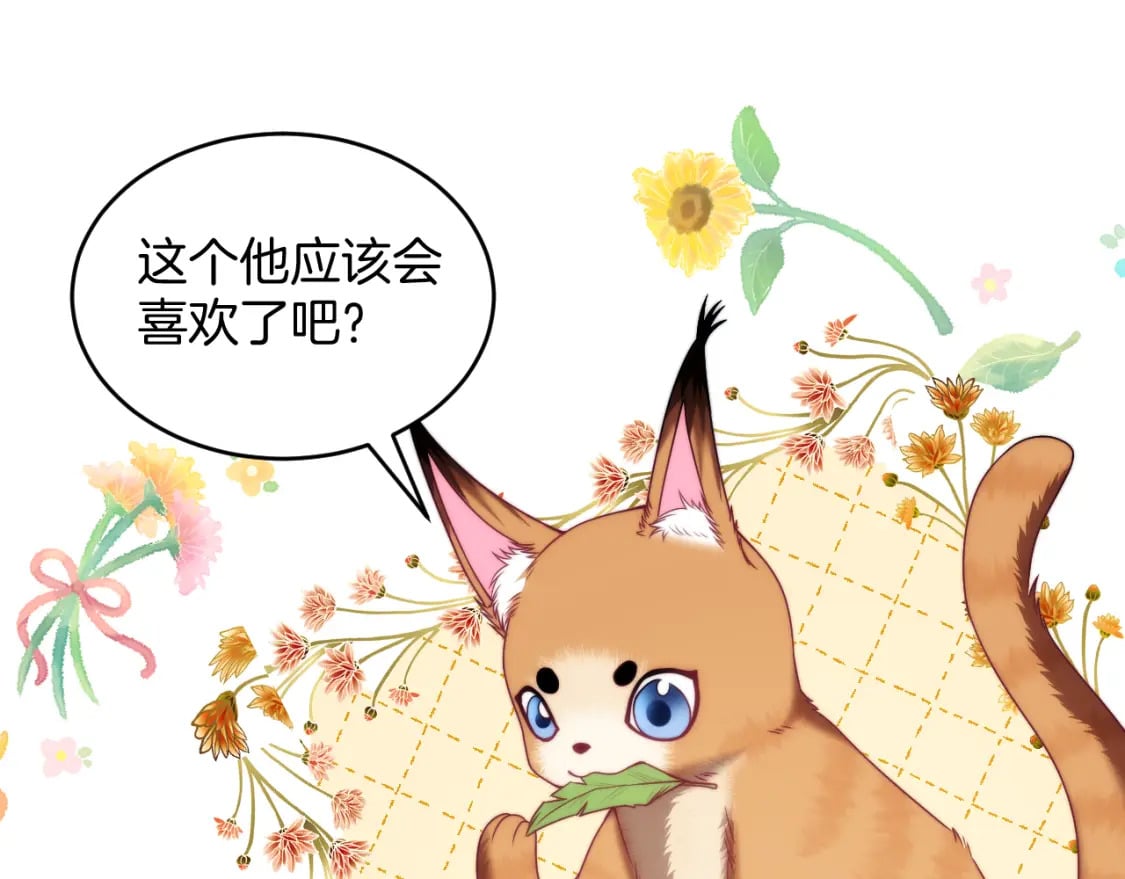 第80话 猫的爱很简单66