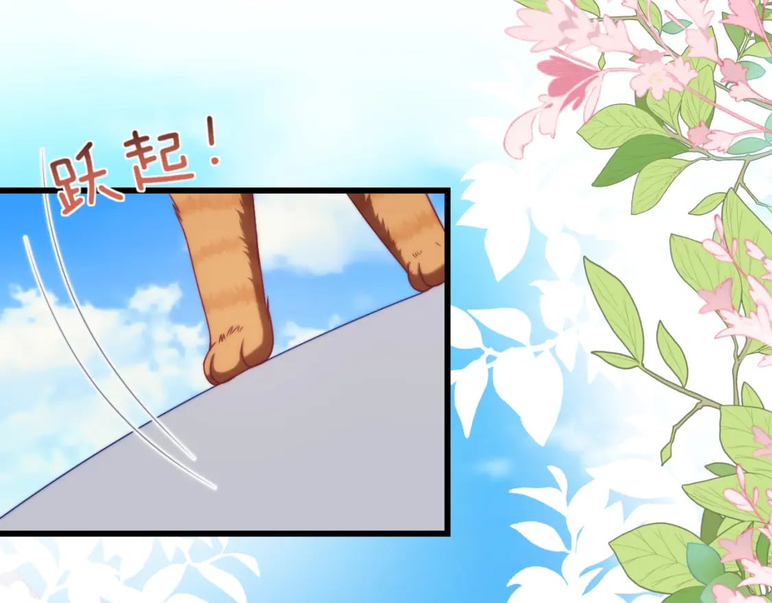 第80话 猫的爱很简单28