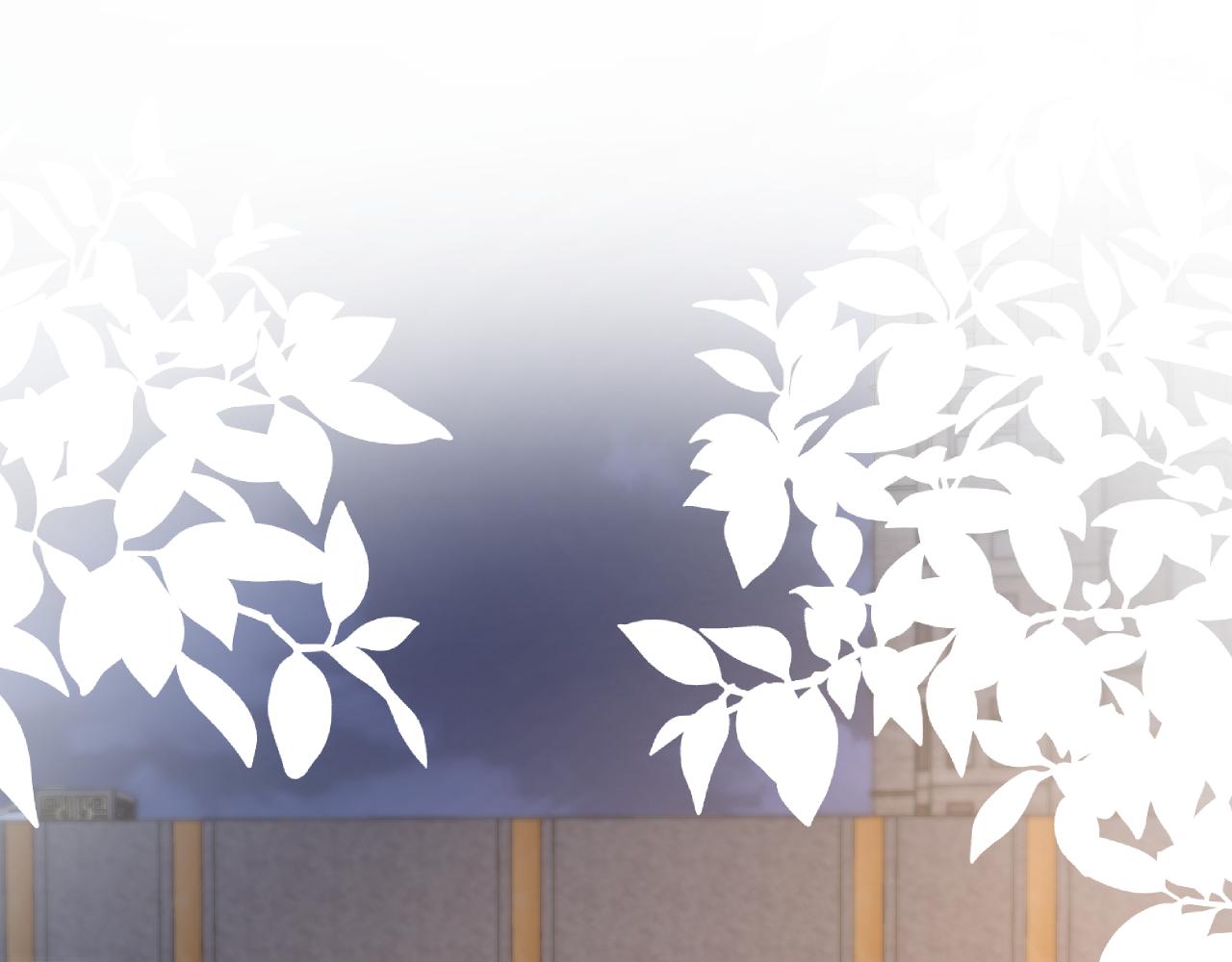 第33话 遛狗狗53