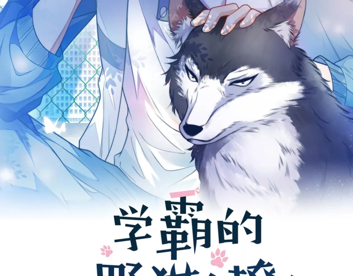 第80话 猫的爱很简单1