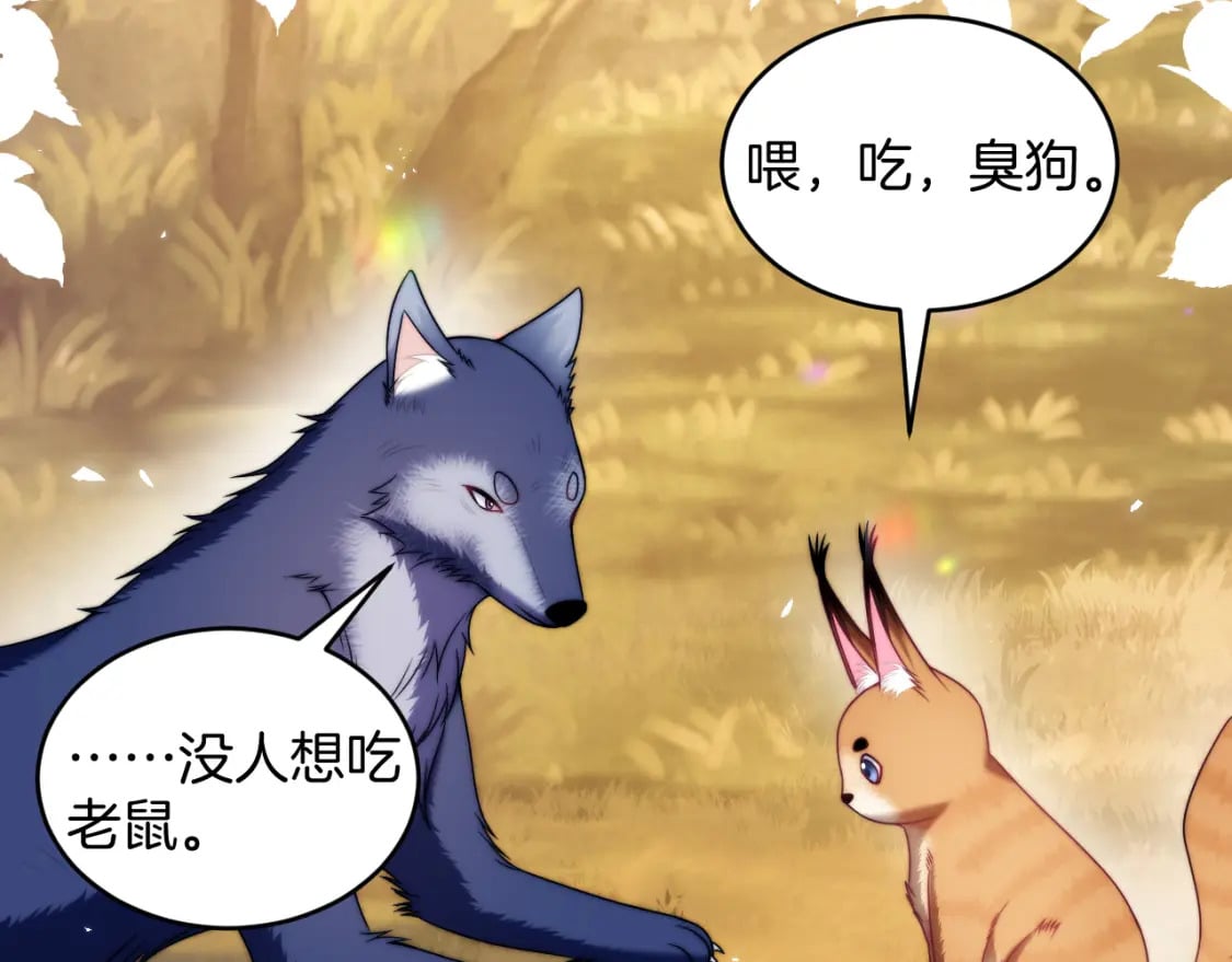 第80话 猫的爱很简单63