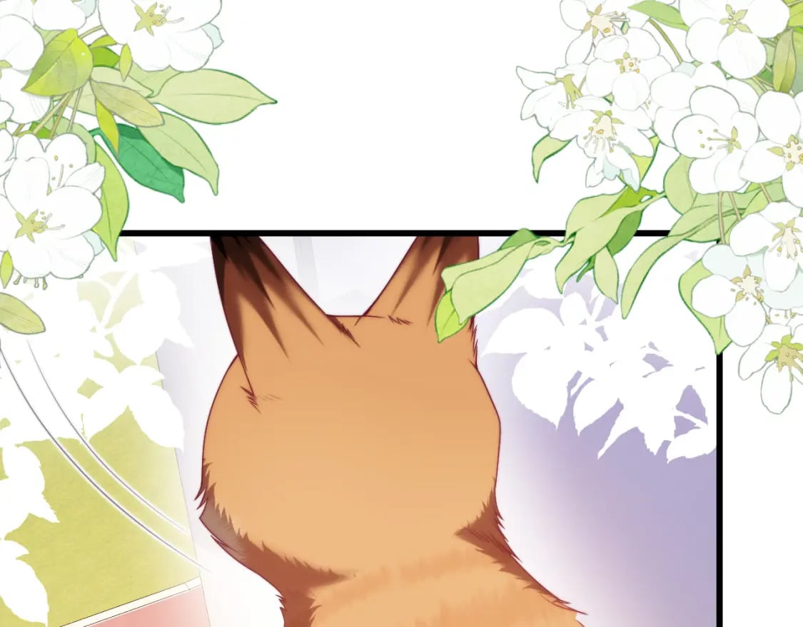 第80话 猫的爱很简单20